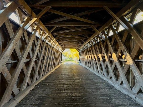 What Are the Most Effective Non-Toxic Strategies for Termite Prevention in Wooden Structures?